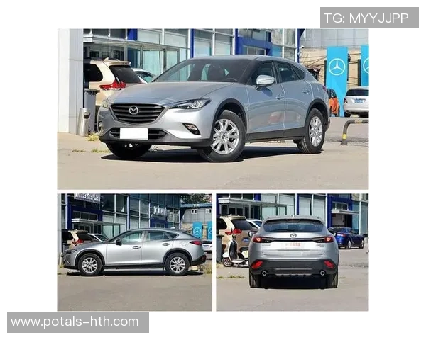 布伦瑞克与沃尔夫的激烈对决:谁能在这场较量中笑到最后 布伦瑞克与沃尔夫的激烈对决:谁能在这场较量中笑到最后